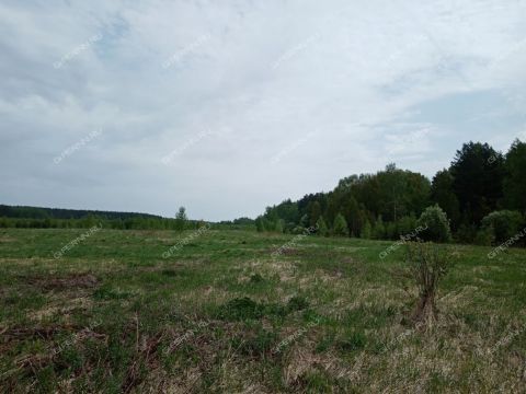 derevnya-nepecino-bogorodskiy-municipalnyy-okrug фото