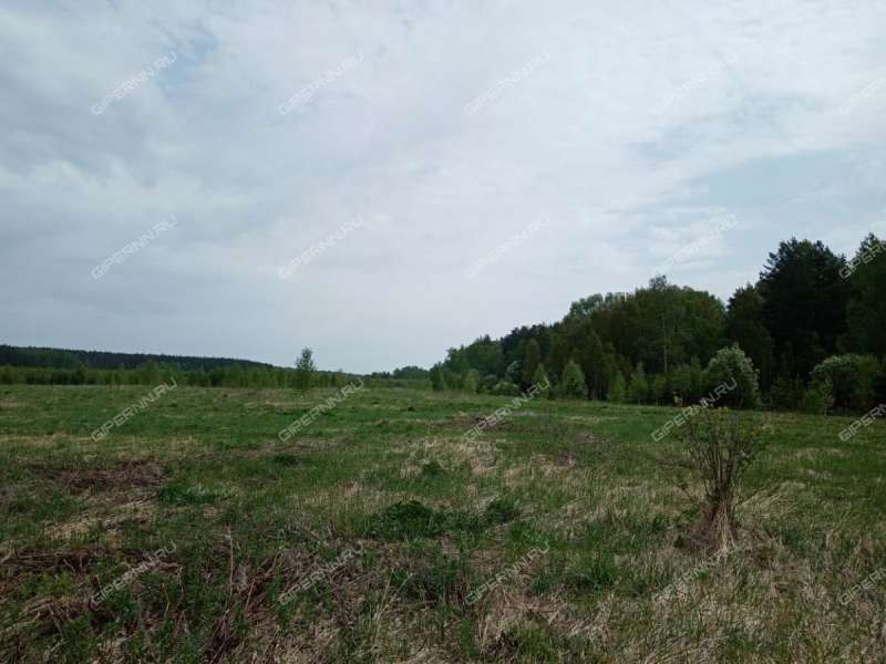 земельный участок под коттеджный посёлок в Богородском районе Нижегородской области