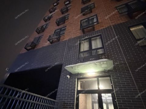 2-komnatnaya-ul-2-ya-oranzhereynaya-d-4a-k1 фото