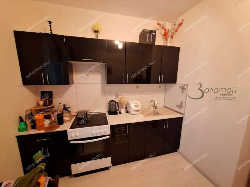 квартира-студия на Русской улице улице дом 1 деревня Анкудиновка